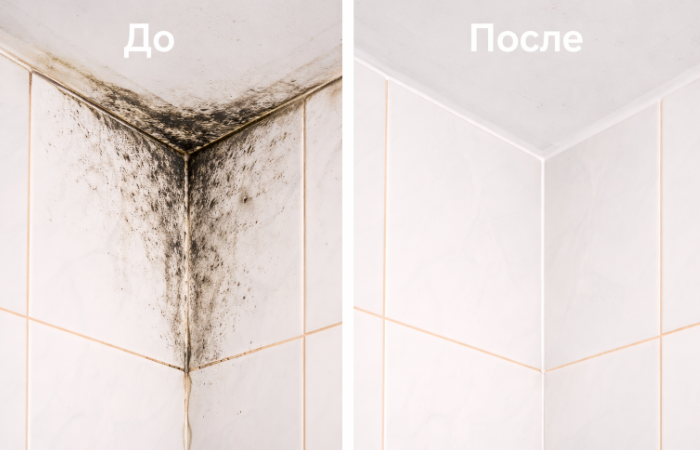 очистка поверхностей от грибка